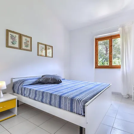 Soppalco 18 By Interhome Apartment Nisporto